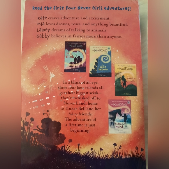 Disney "The Never Girls" Book Series- Collection 1-4 book set-Aurhor Kiki Thorpe - Picture 4 of 4